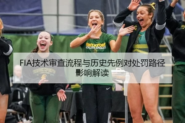 FIA技术审查流程与历史先例对处罚路径影响解读 - huatihui